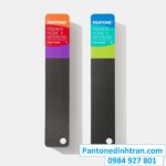 Bảng màu Dĩnh Trần Color - Pantone FHIP110A