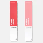 Bảng màu Dĩnh Trần Color - Pantone GP5101C